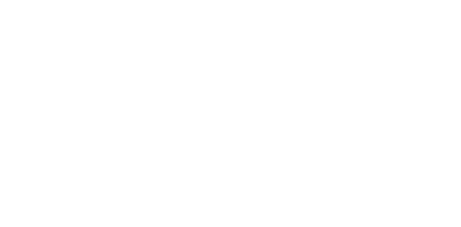 My Cruises